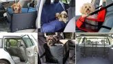 Правила перевозки животных в автомобиле
